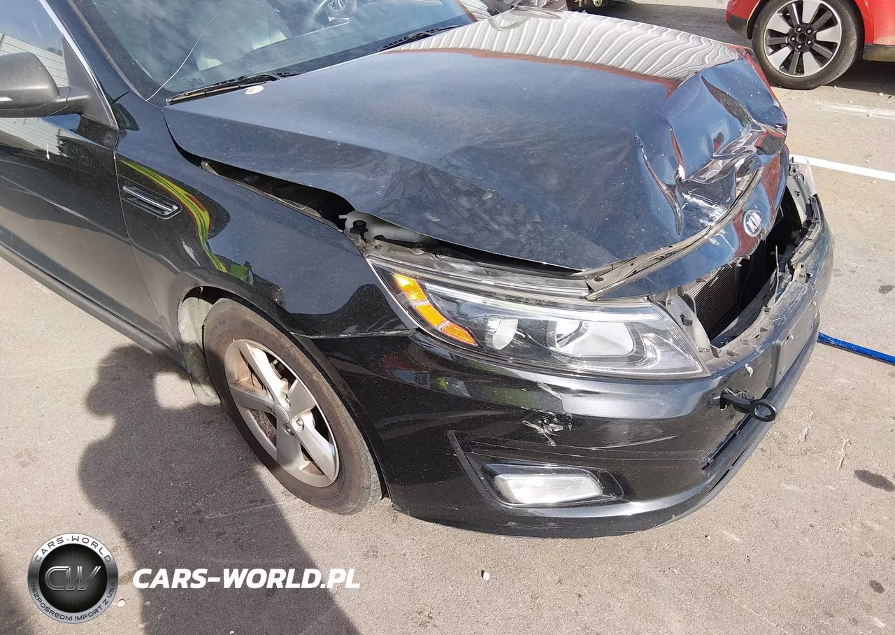 2015 Kia Optima Lx VIN:KNAGM4A70F5657234 - 19