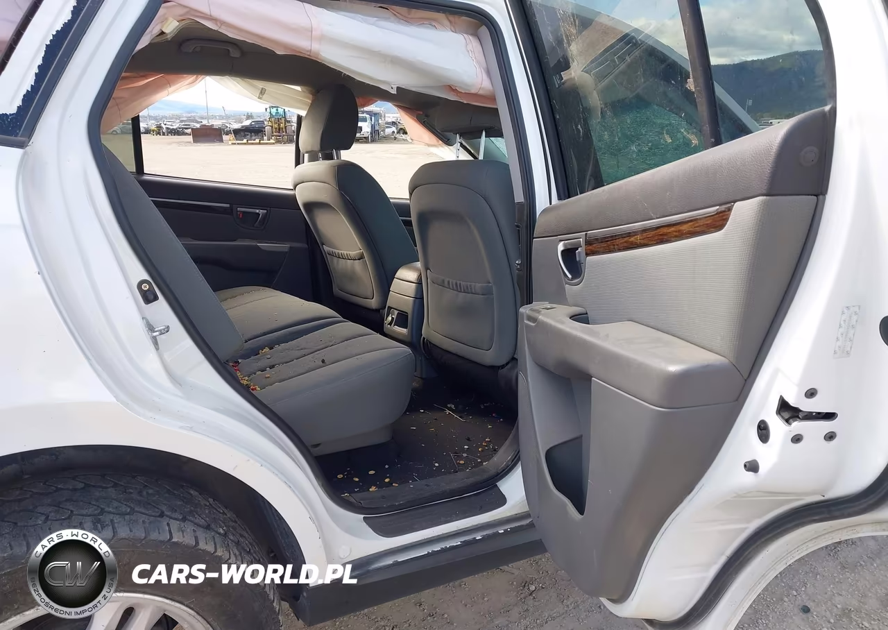 2010 Hyundai Santa Fe Gls VIN:5NMSGDAB8AH371890 - 8