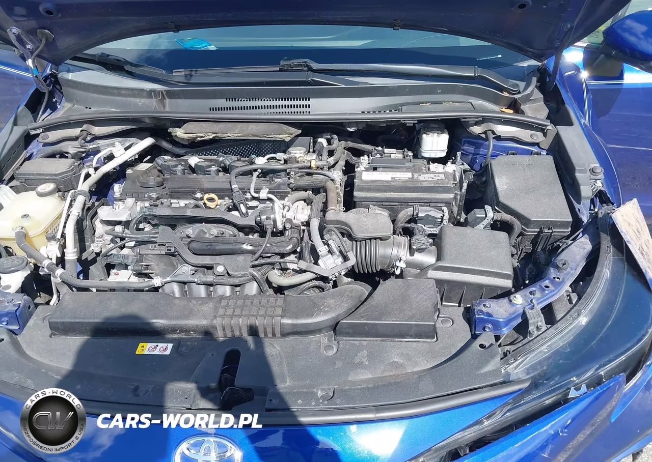 2020 Toyota Corolla Se VIN:5YFS4RCE6LP044779 - 10