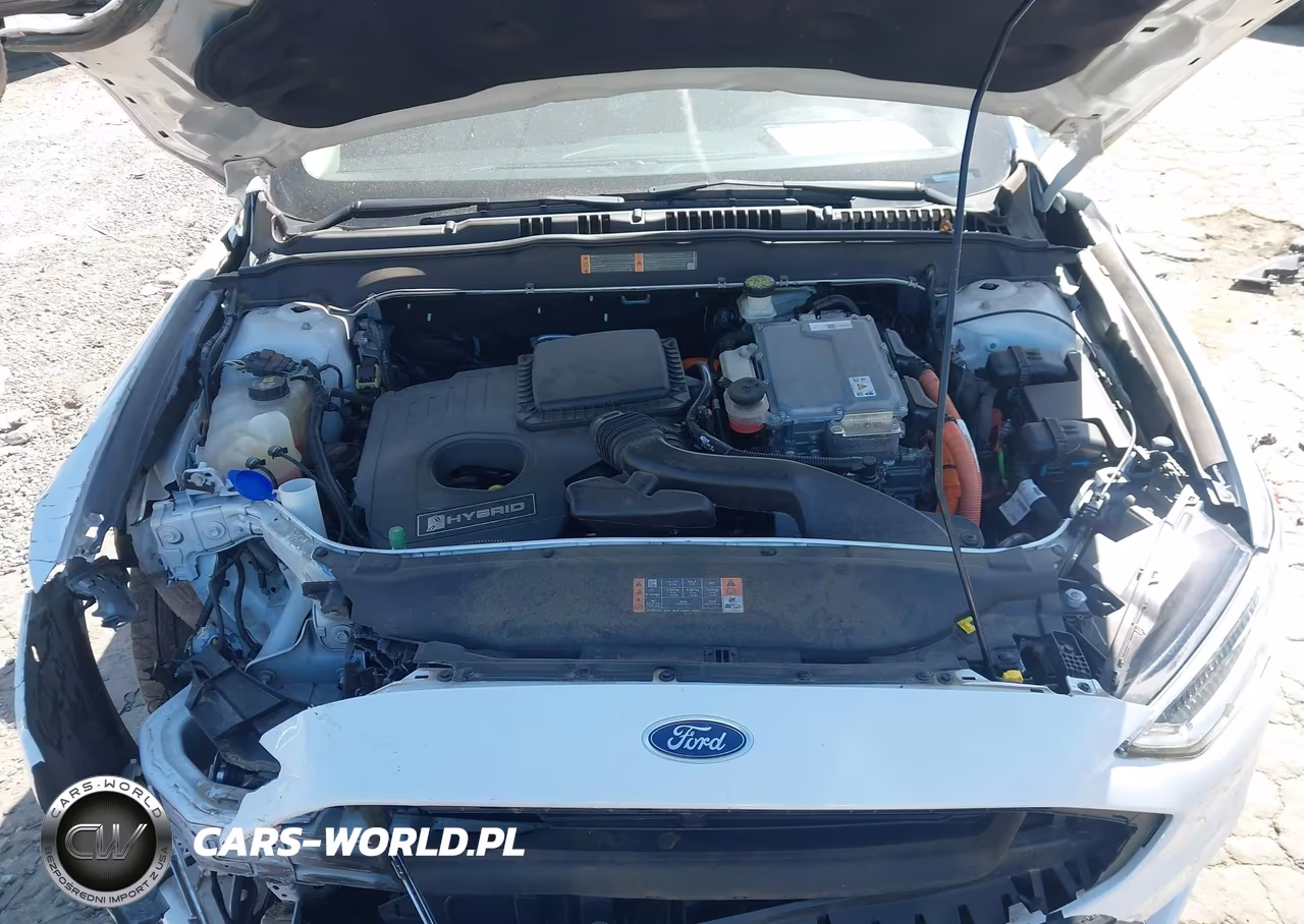 2018 Ford Fusion Hybrid Titanium VIN:3FA6P0RUXJR120424 - 10