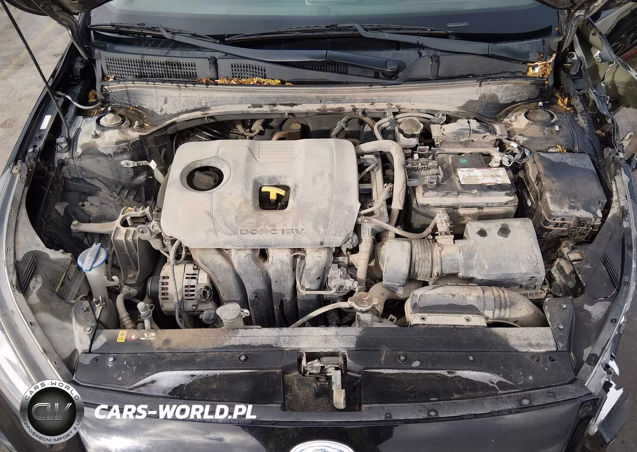 2019 Kia Forte S VIN:3KPF34AD0KE012234 - 10