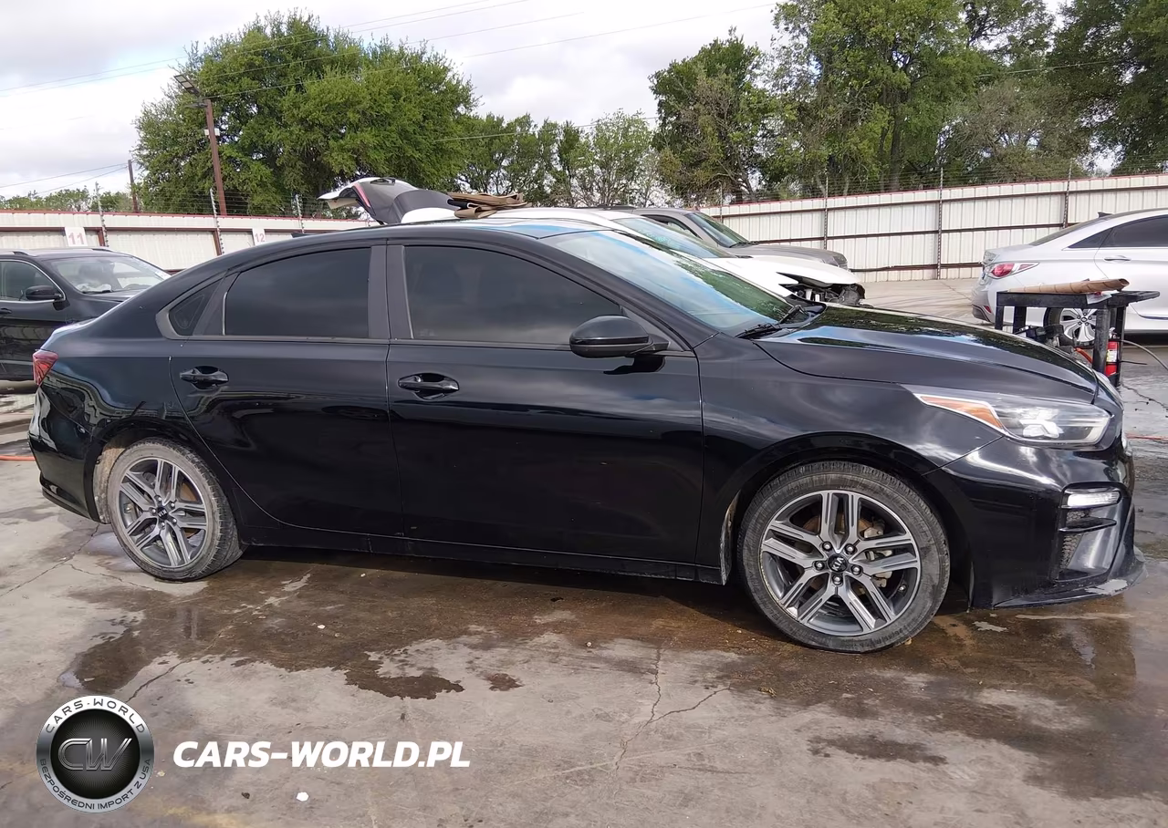 2019 Kia Forte S VIN:3KPF34AD0KE012234 - 13
