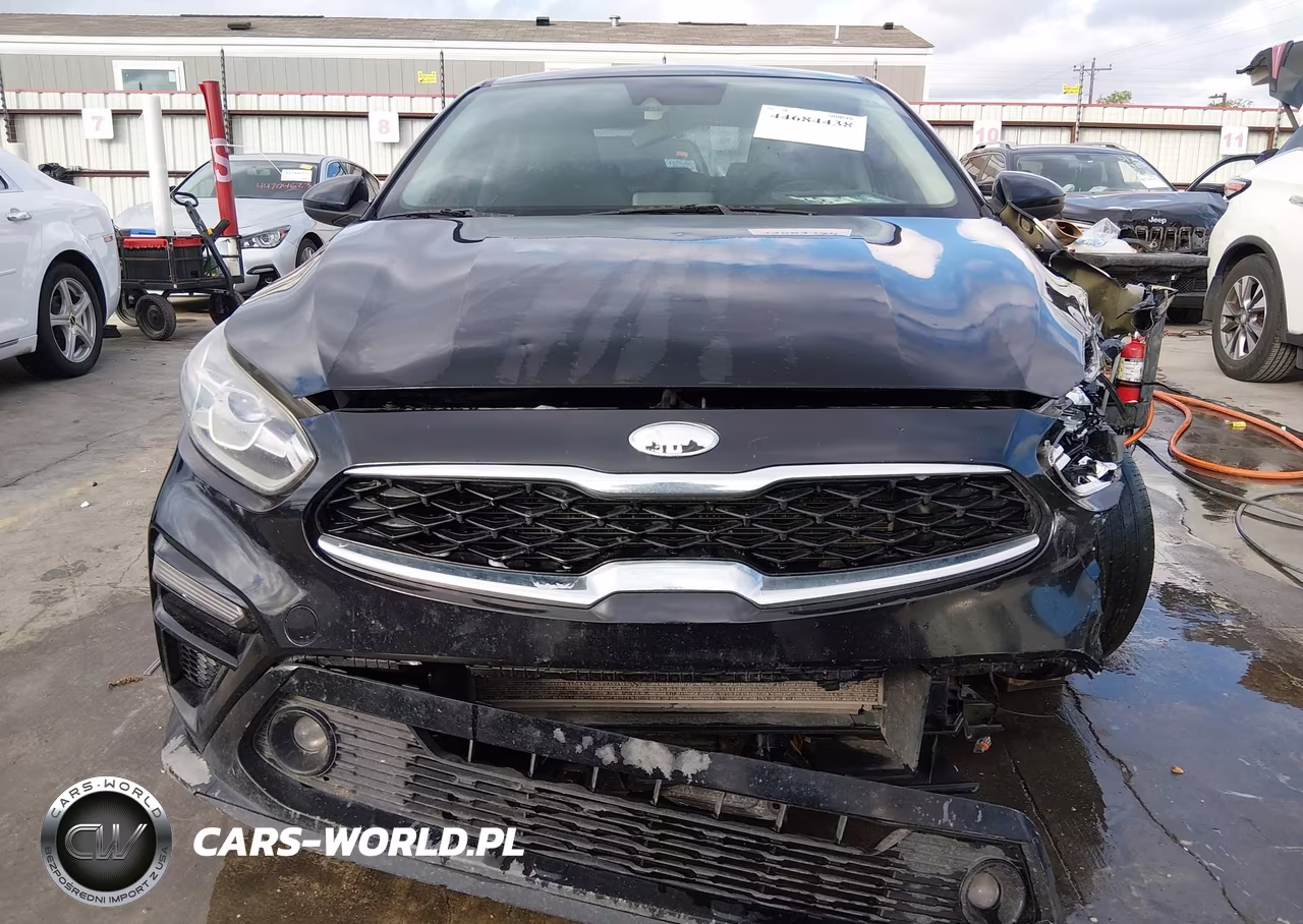 2019 Kia Forte S VIN:3KPF34AD0KE012234 - 17