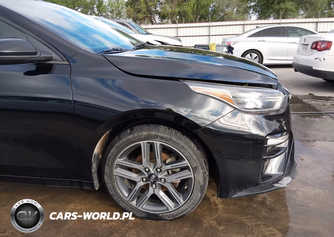 2019 Kia Forte S VIN:3KPF34AD0KE012234 - 18