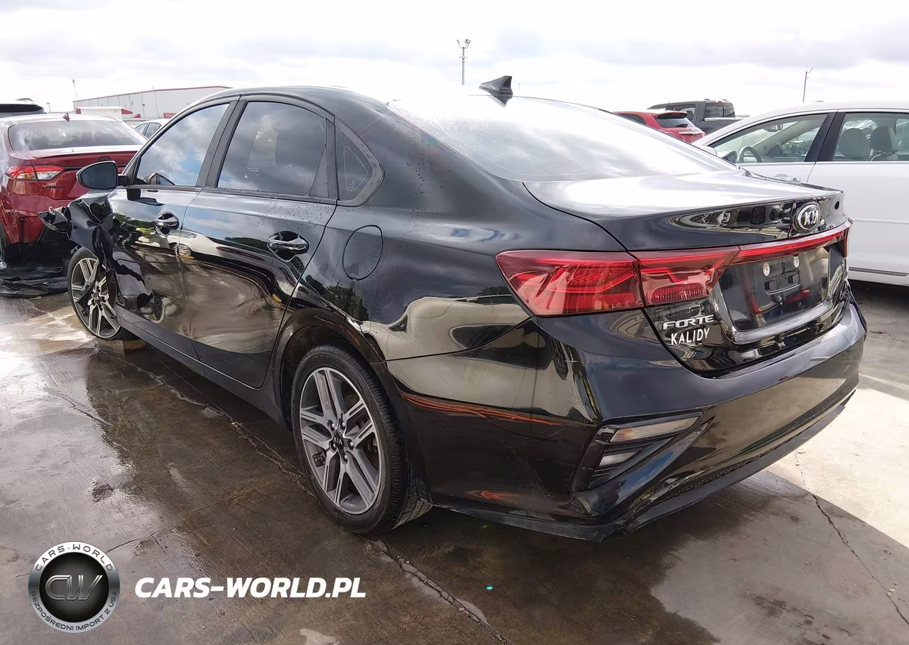2019 Kia Forte S VIN:3KPF34AD0KE012234 - 3