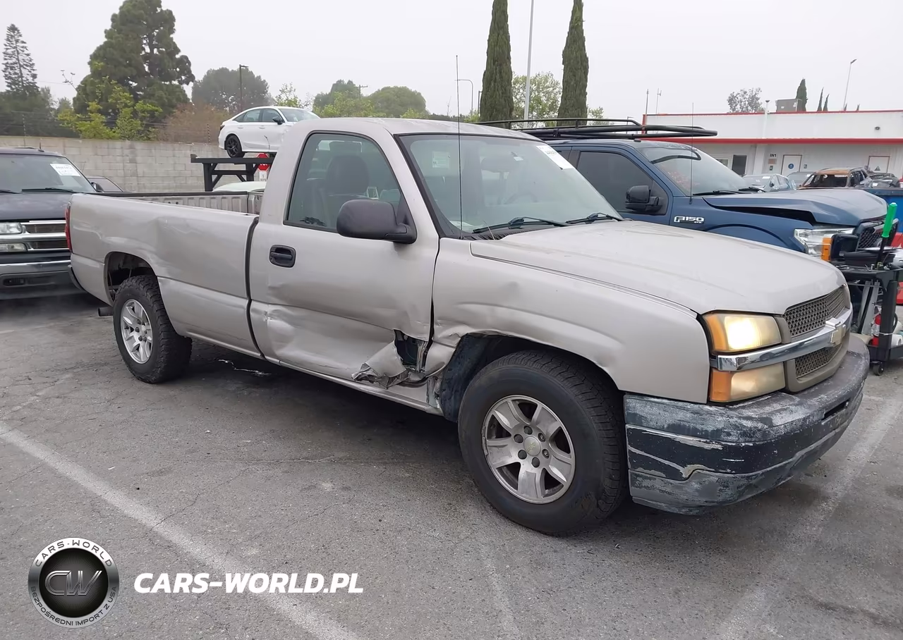 2005 Chevrolet Silverado 1500 Work Truck