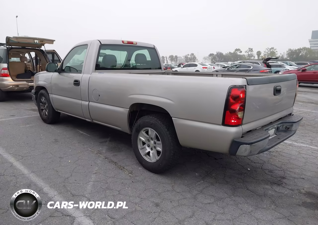 2005 Chevrolet Silverado 1500 Work Truck VIN:1GCEC14X65Z290502 - 3