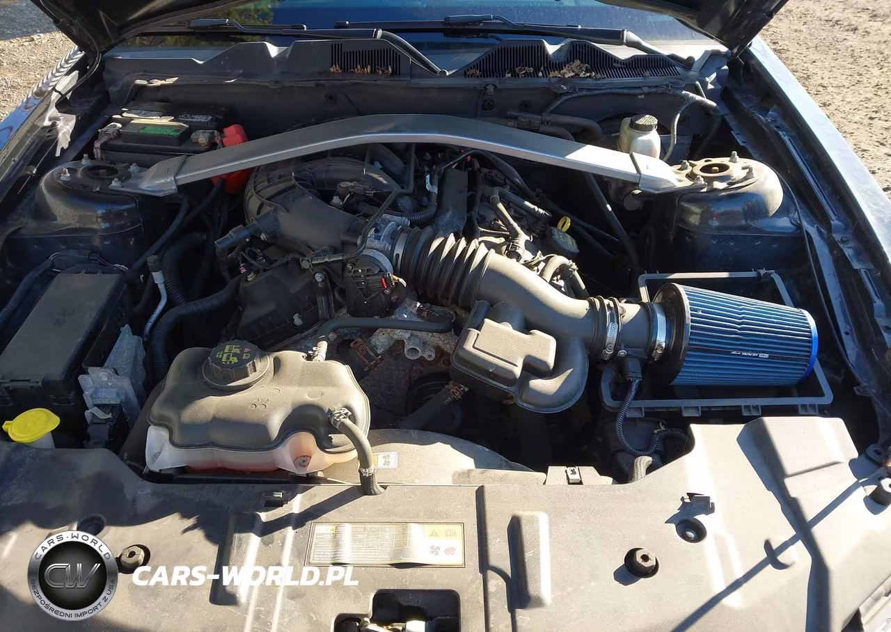 2014 Ford Mustang V6 Premium VIN:1ZVBP8EM8E5208388 - 10