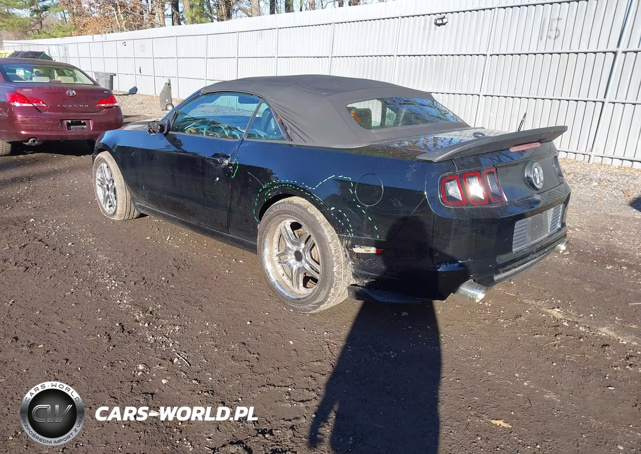 2014 Ford Mustang V6 Premium VIN:1ZVBP8EM8E5208388 - 3