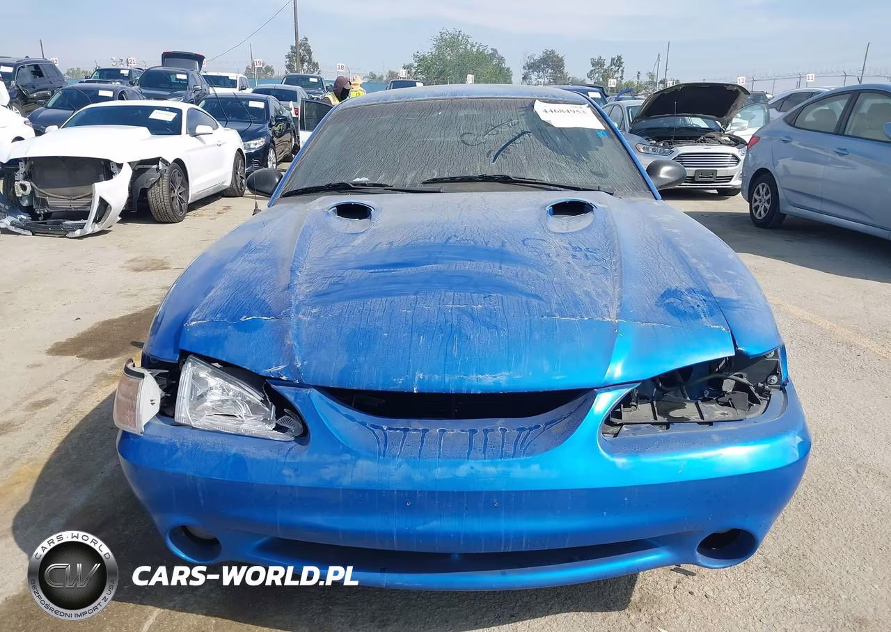 1998 Ford Mustang Svt Cobra VIN:1FAFP47VXWF209529 - 6