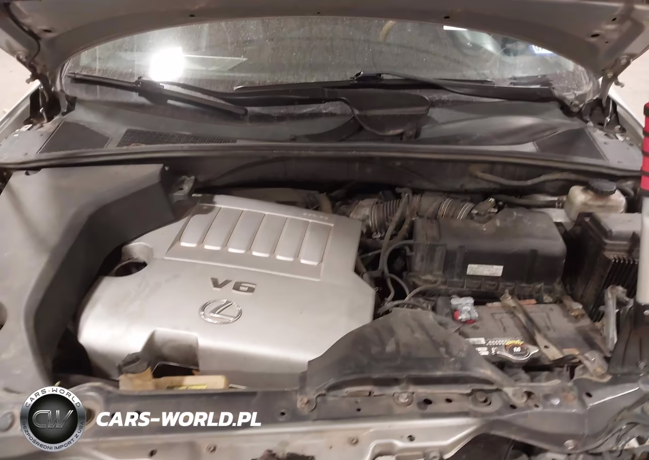 2007 Lexus Rx 350 VIN:2T2HK31U47C042862 - 10