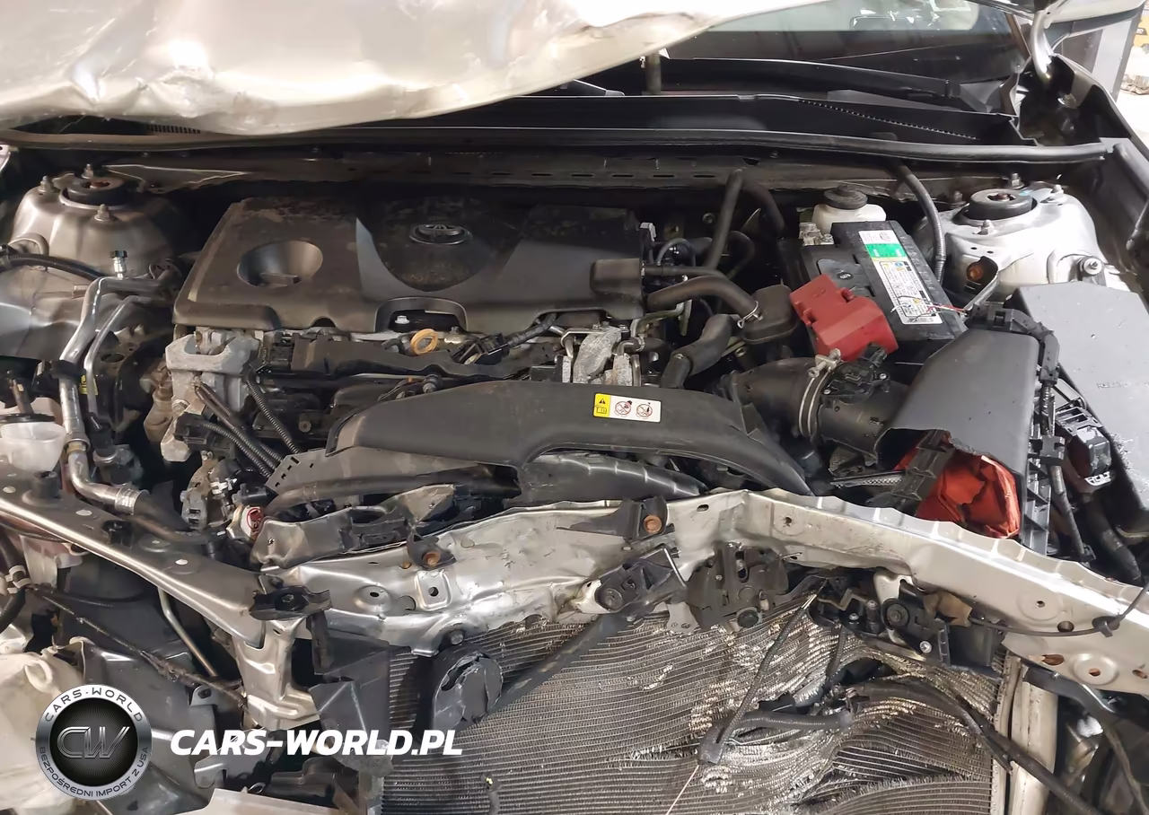 2019 Toyota Camry Se VIN:4T1B11HKXKU773549 - 10