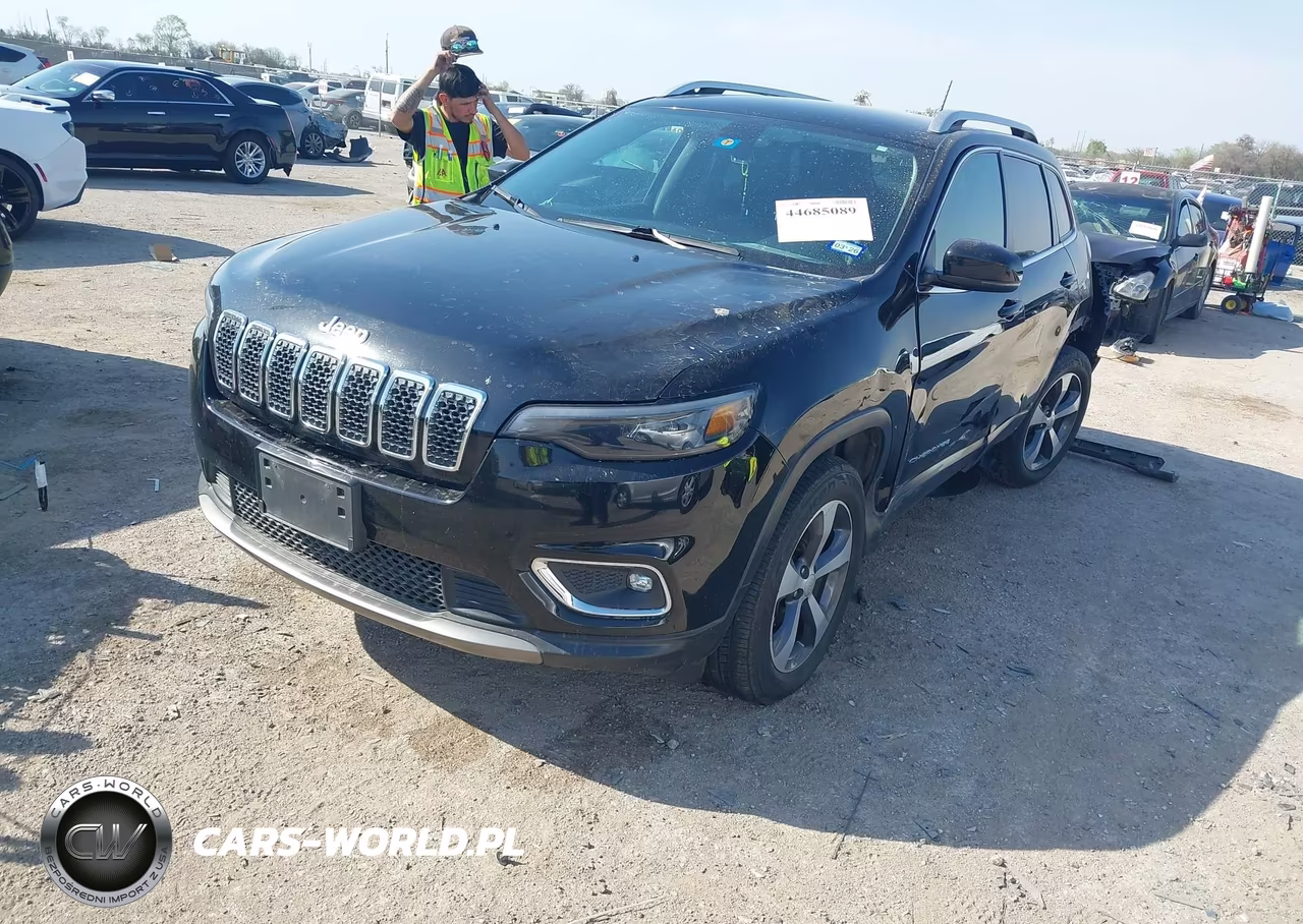 2019 Jeep Cherokee Limited 4X4 VIN:1C4PJMDX5KD423517 - 2