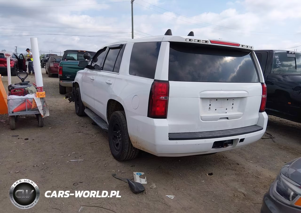 2018 Chevrolet Tahoe Commercial Fleet VIN:1GNSKDEC2JR330143 - 3