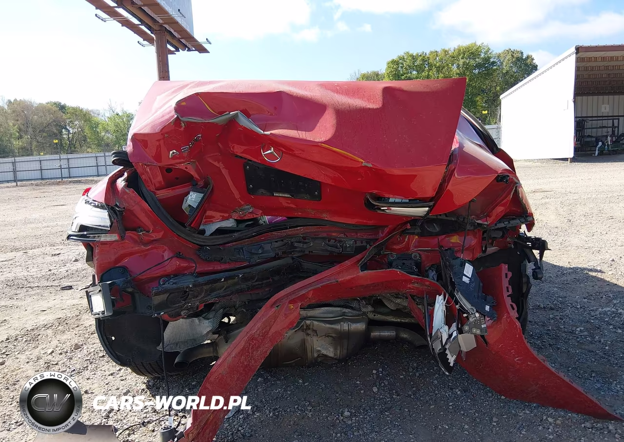 2019 Mercedes-Benz A 220 VIN:WDD3G4EB8KW014387 - 18