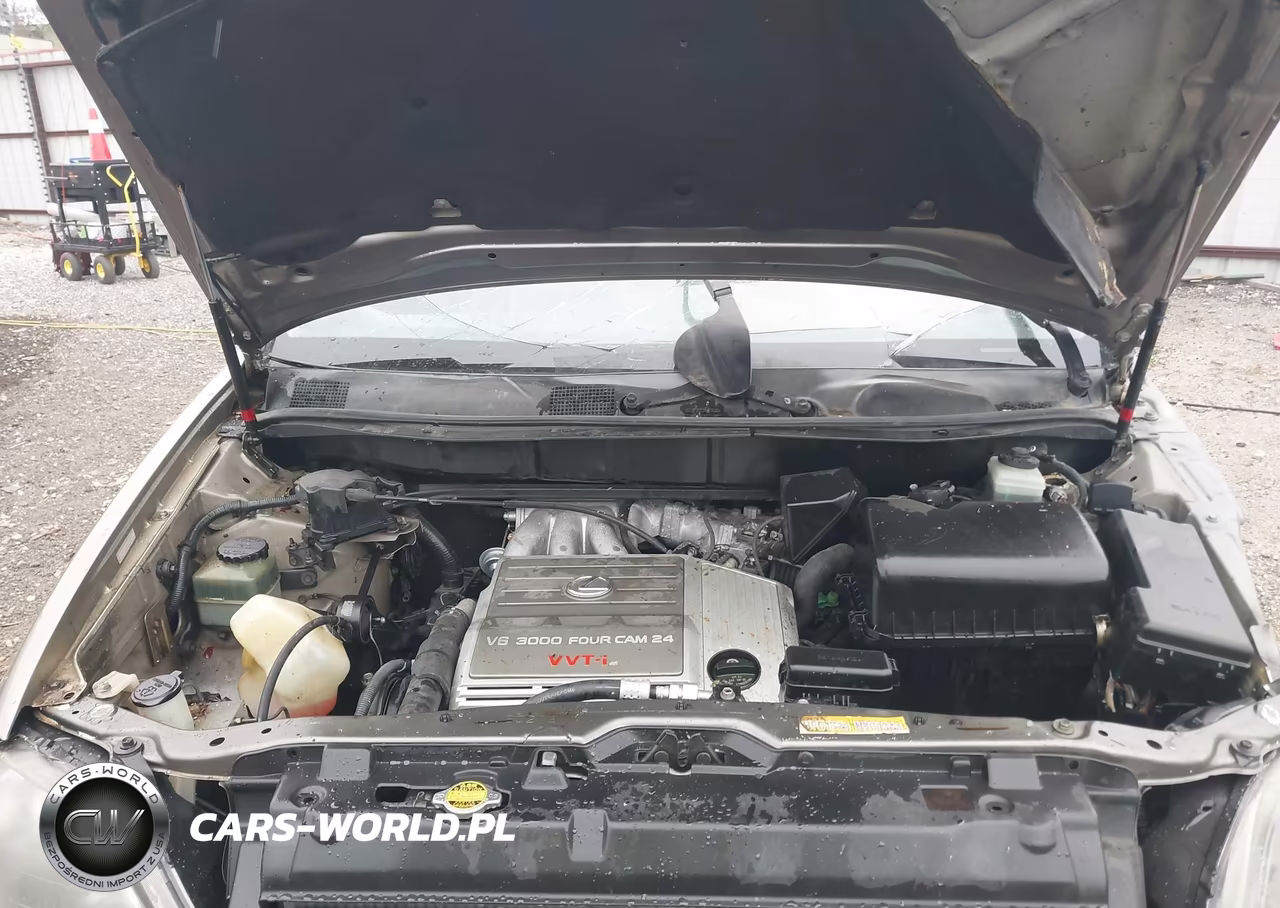 1999 Lexus Rx 300 VIN:JT6HF10U8X0076481 - 10