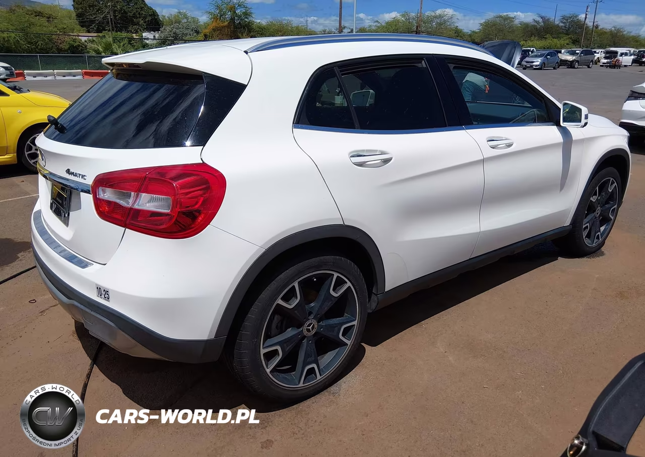 2020 Mercedes-Benz Gla 250 4Matic VIN:W1NTG4GB0LJ694378 - 4