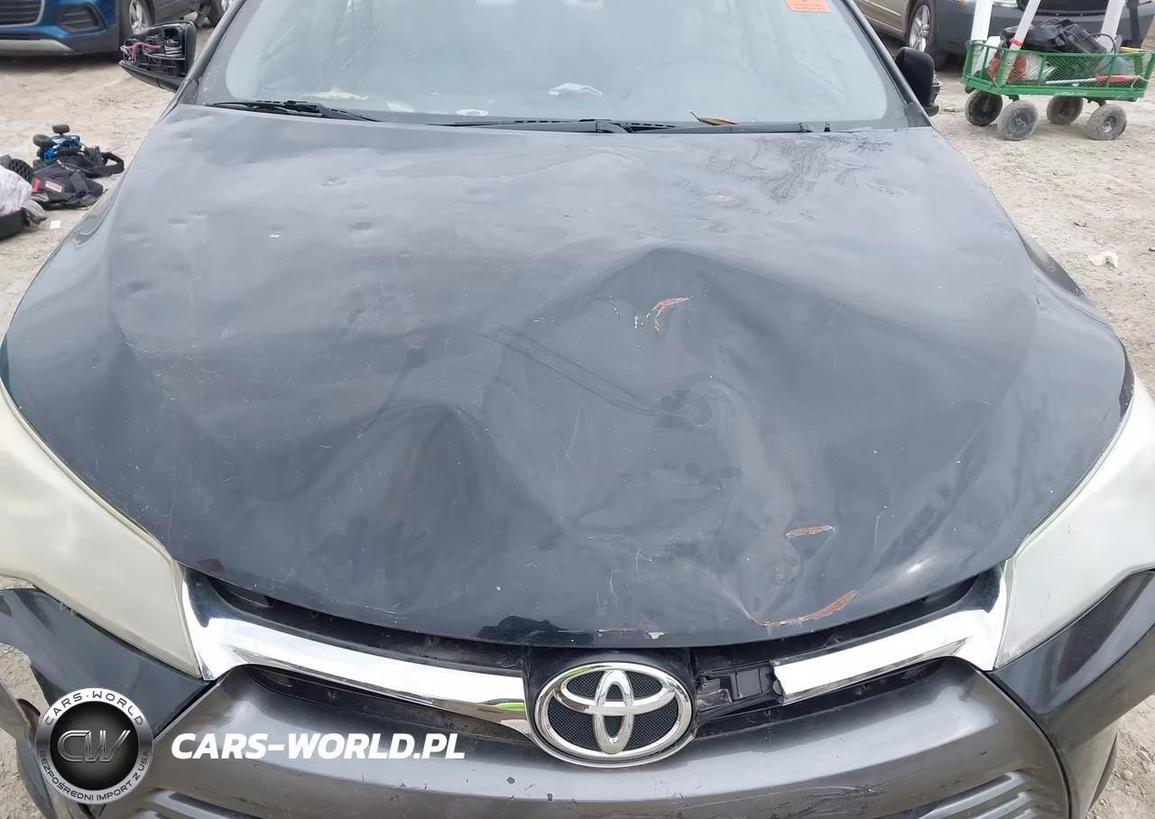 2016 Toyota Camry Le VIN:4T4BF1FK9GR565521 - 17