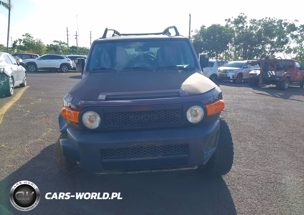 2007 Toyota Fj Cruiser VIN:JTEBU11FX70005136 - 12