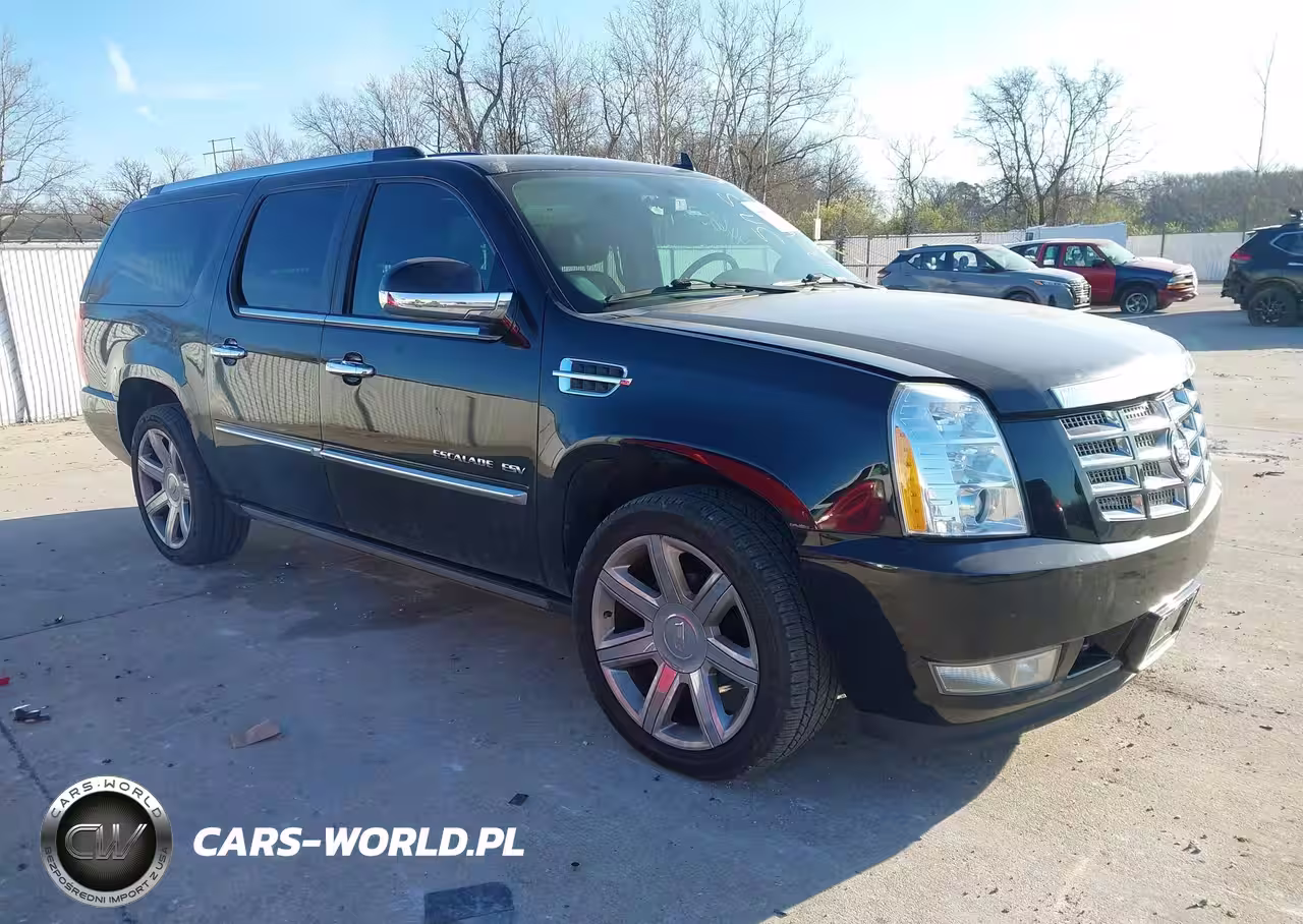 2010 Cadillac Escalade Esv Premium