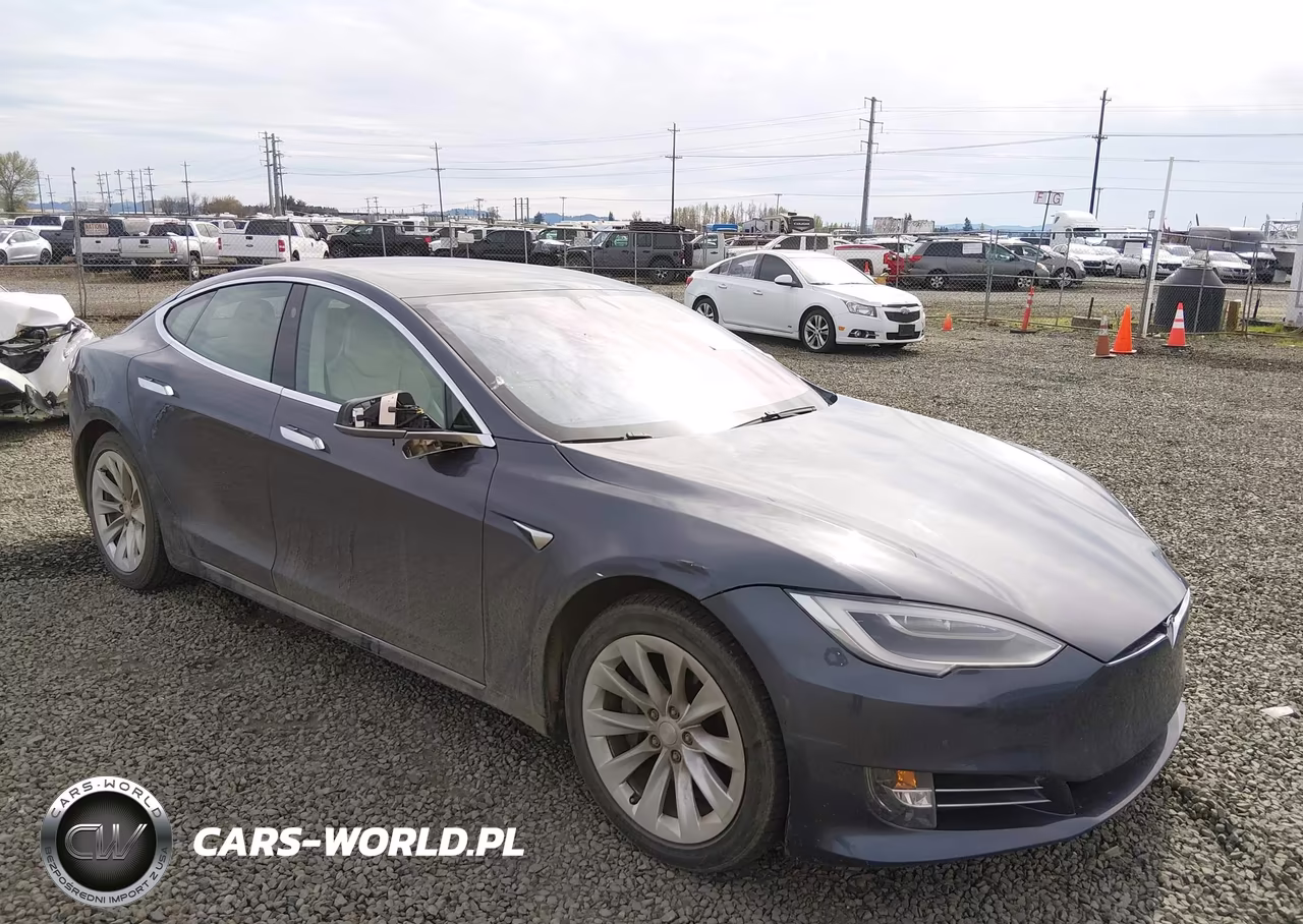 2019 Tesla Model S 100D-75D-Long Range-Standard Range
