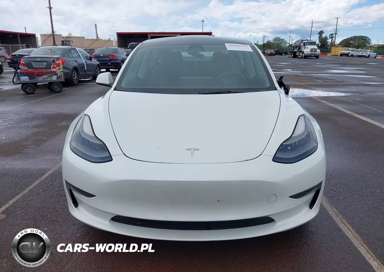2023 Tesla Model 3 Rear-Wheel Drive VIN:5YJ3E1EA4PF407661 - 12