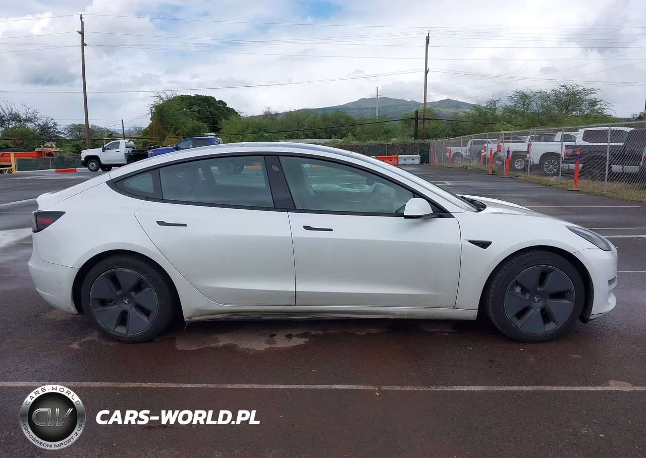 2023 Tesla Model 3 Rear-Wheel Drive VIN:5YJ3E1EA4PF407661 - 13