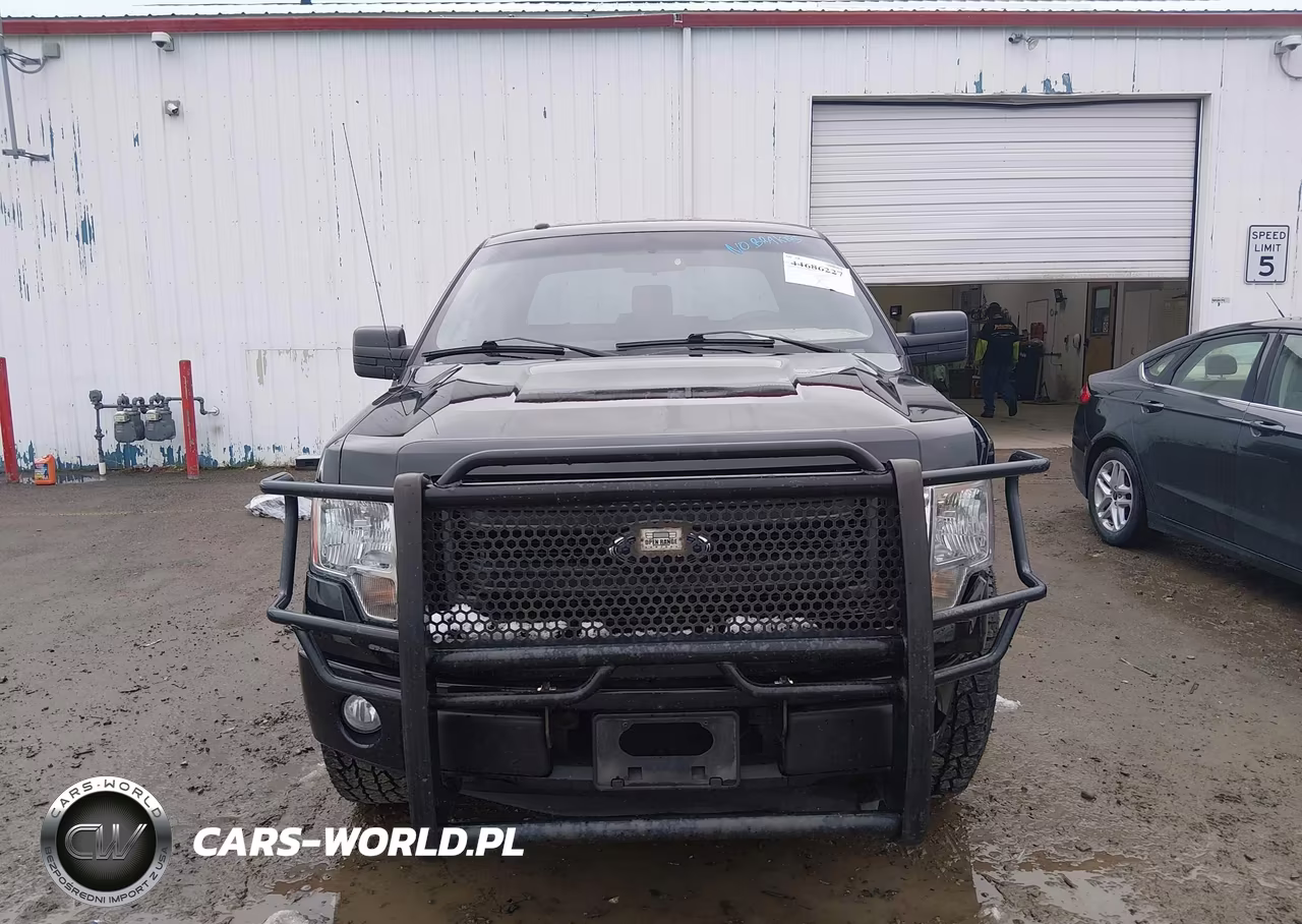 2014 Ford F-150 Stx VIN:1FTEX1EM7EFA38719 - 12