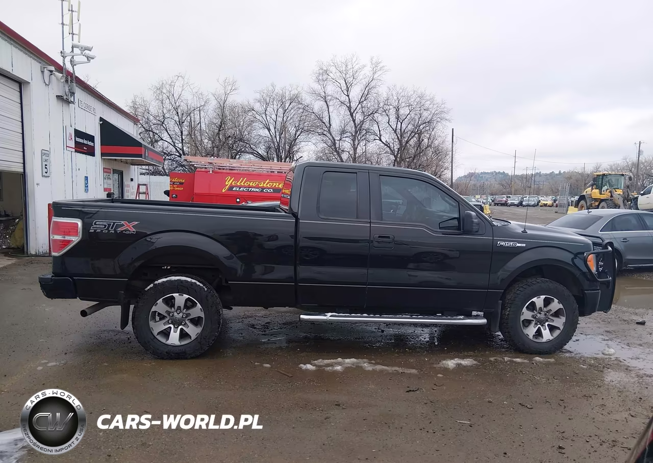 2014 Ford F-150 Stx VIN:1FTEX1EM7EFA38719 - 13