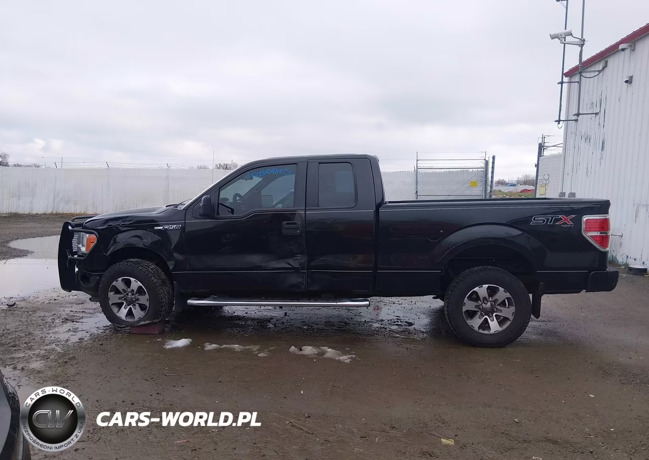 2014 Ford F-150 Stx VIN:1FTEX1EM7EFA38719 - 14