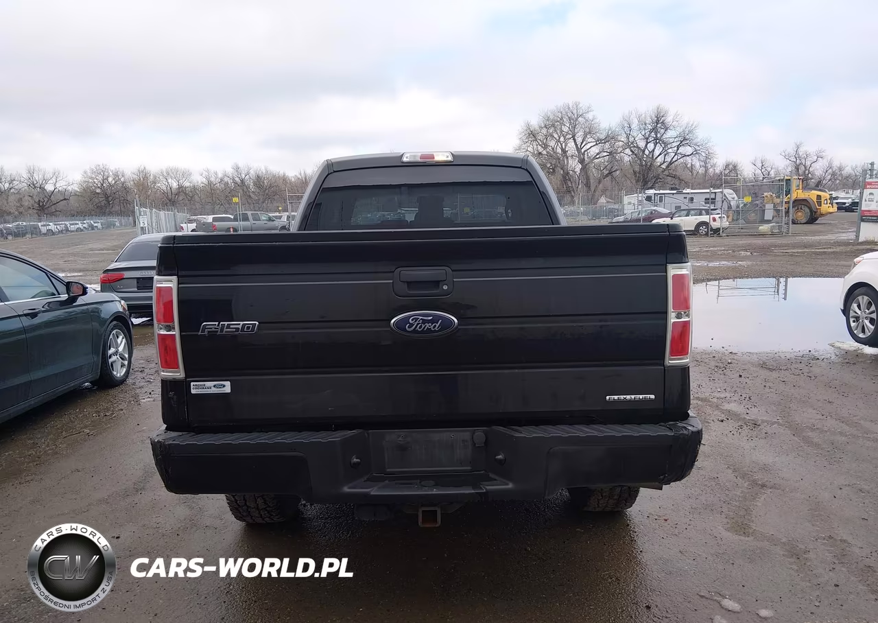 2014 Ford F-150 Stx VIN:1FTEX1EM7EFA38719 - 16