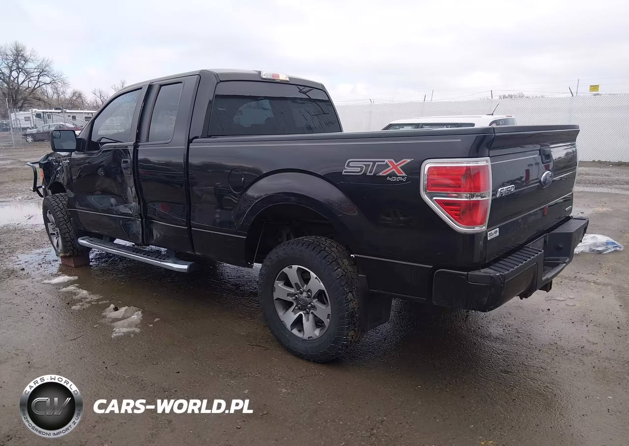 2014 Ford F-150 Stx VIN:1FTEX1EM7EFA38719 - 3