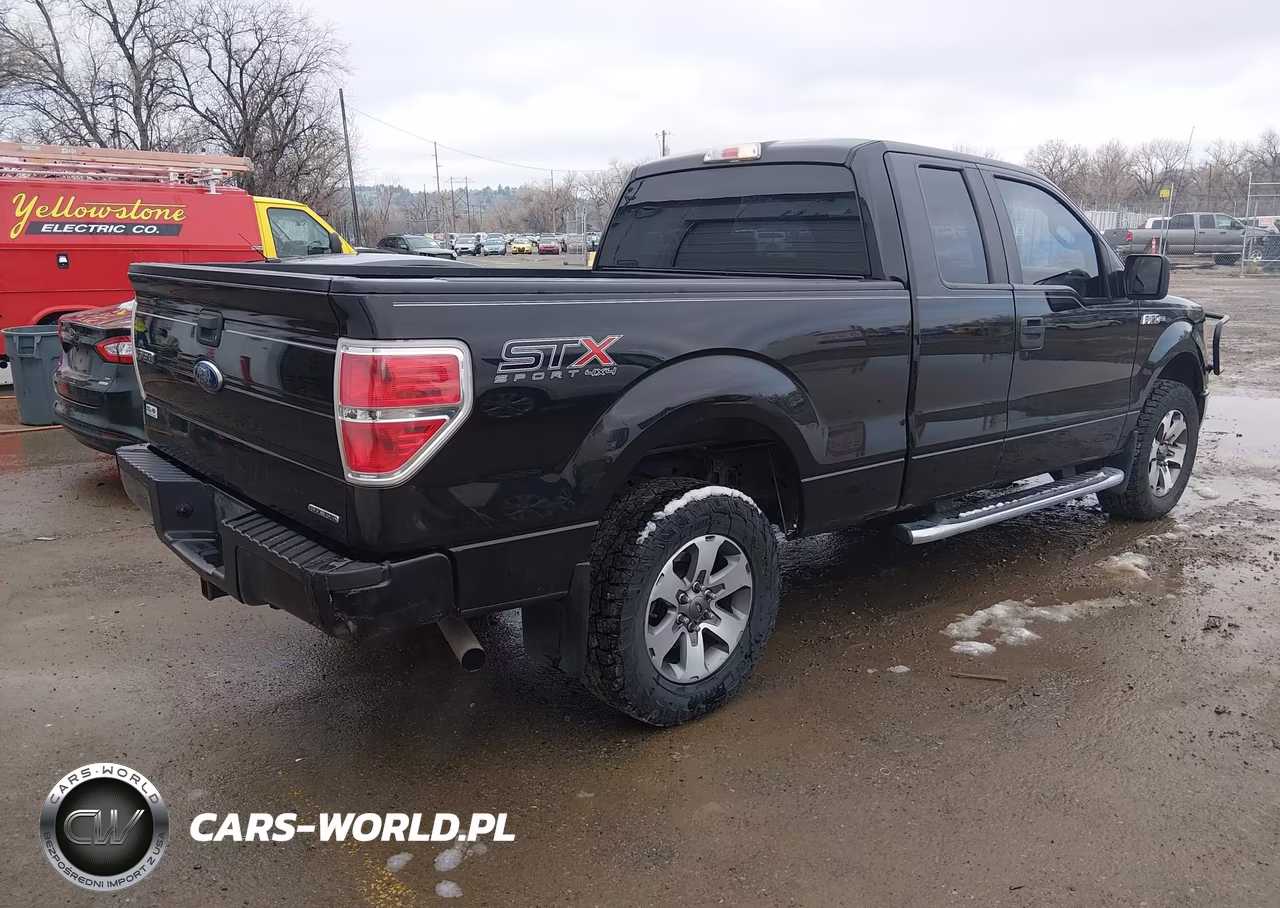 2014 Ford F-150 Stx VIN:1FTEX1EM7EFA38719 - 4