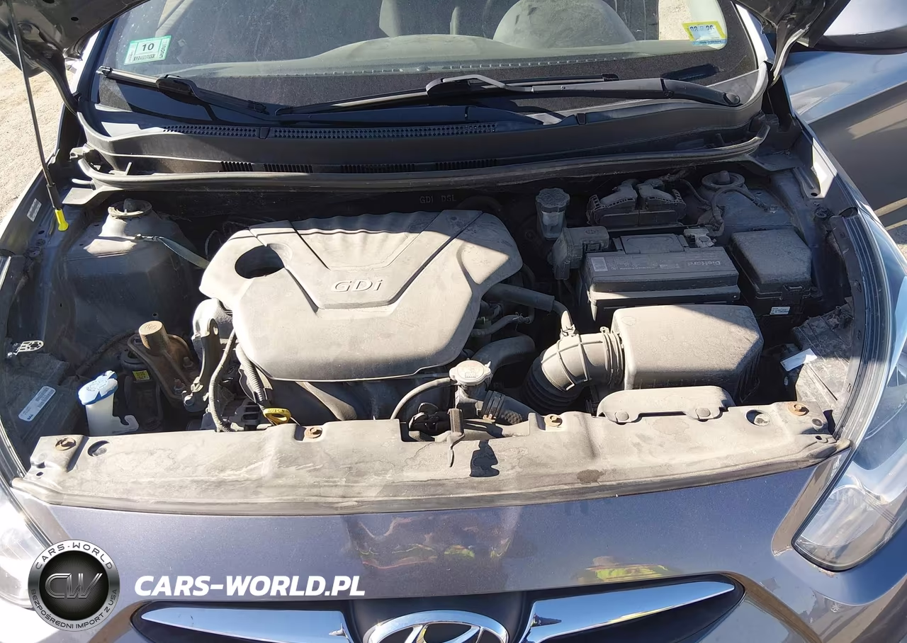 2014 Hyundai Accent Gs VIN:KMHCT5AEXEU185908 - 10