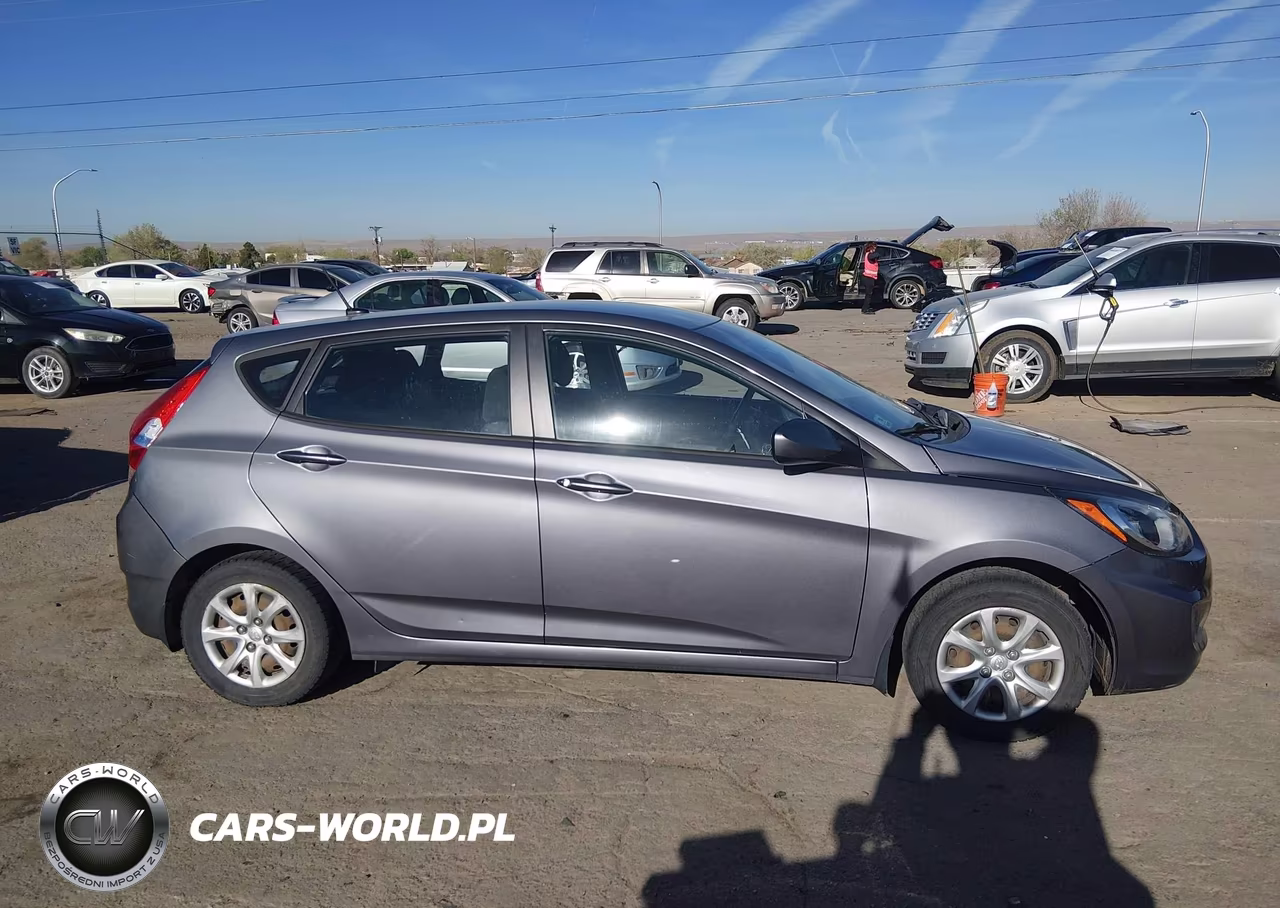 2014 Hyundai Accent Gs VIN:KMHCT5AEXEU185908 - 12