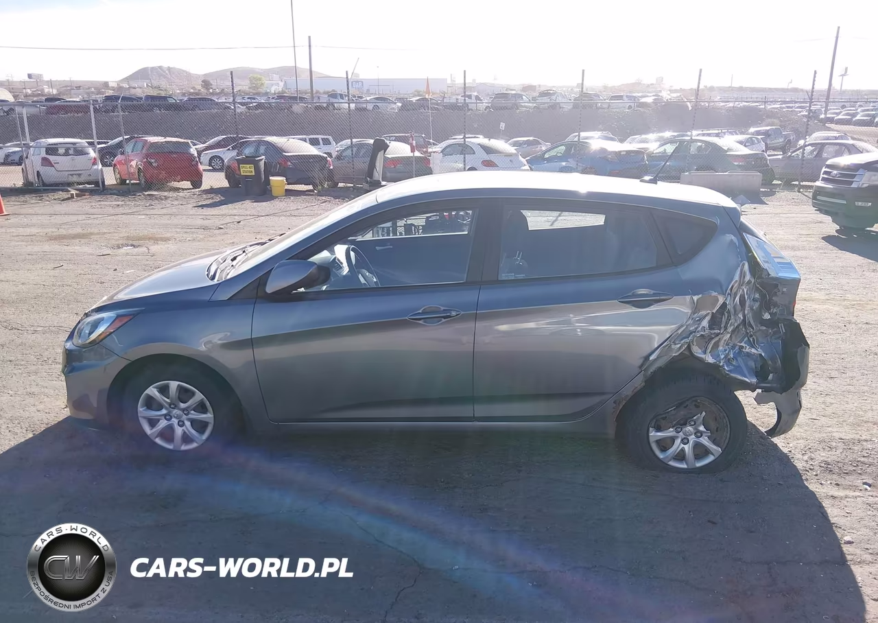 2014 Hyundai Accent Gs VIN:KMHCT5AEXEU185908 - 13