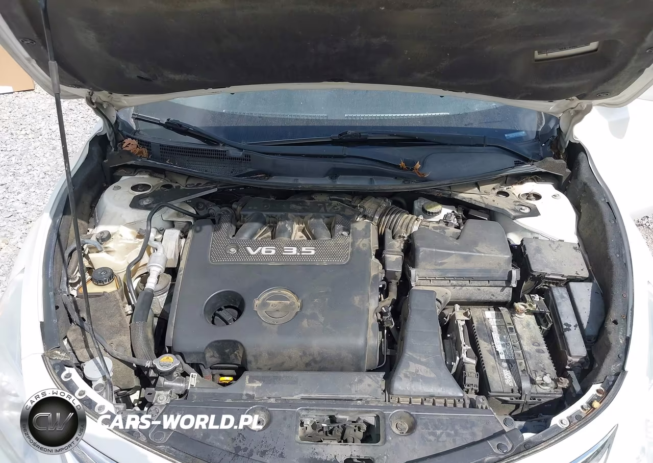 2013 Nissan Altima 3.5 S VIN:1N4BL3AP1DC240424 - 10