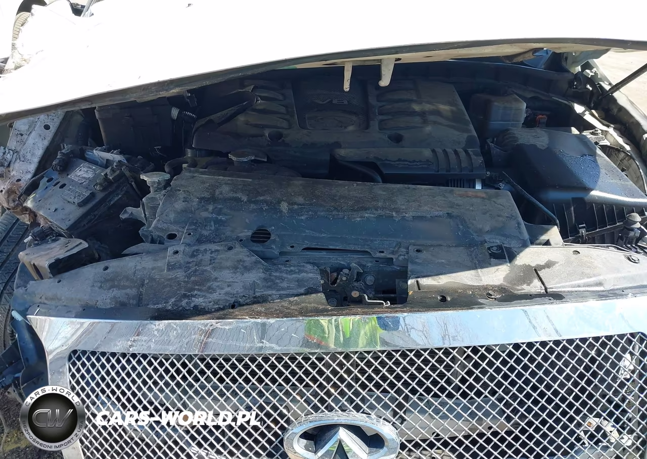 2013 Infiniti Qx56 VIN:JN8AZ2ND1D9750045 - 10
