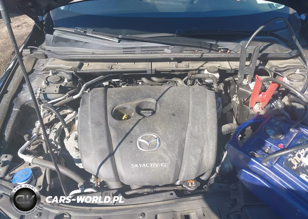 2019 Mazda Mazda3 Preferred Package VIN:JM1BPBDM7K1119867 - 10