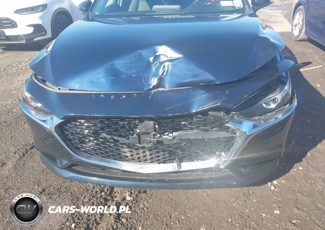 2019 Mazda Mazda3 Preferred Package VIN:JM1BPBDM7K1119867 - 12