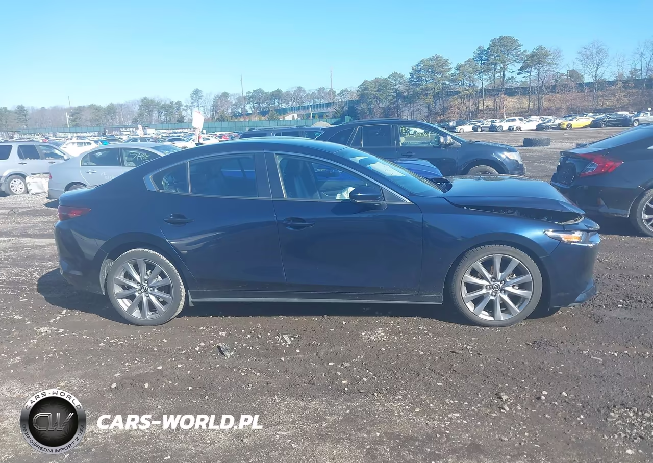 2019 Mazda Mazda3 Preferred Package VIN:JM1BPBDM7K1119867 - 13