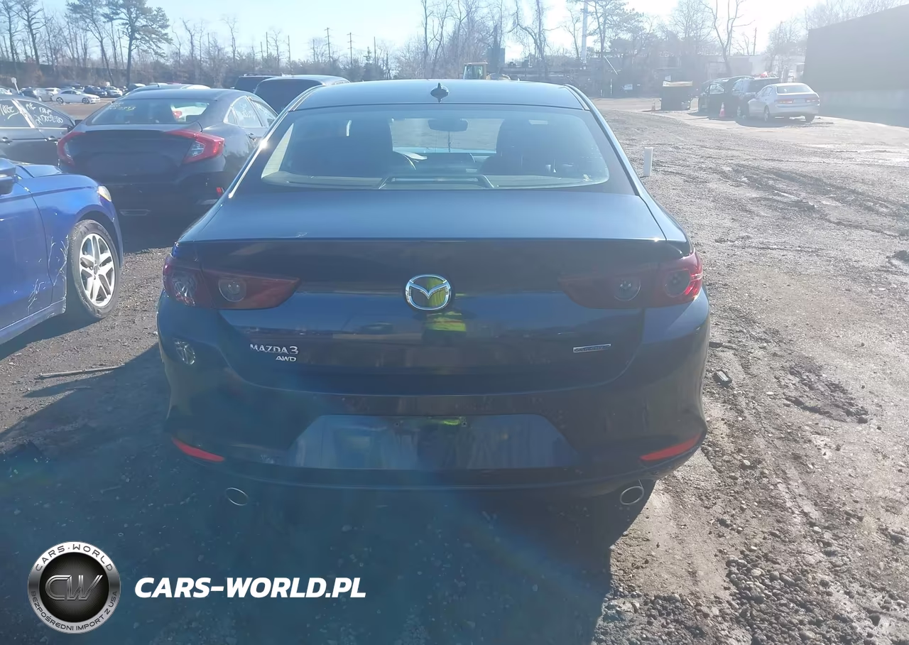 2019 Mazda Mazda3 Preferred Package VIN:JM1BPBDM7K1119867 - 16