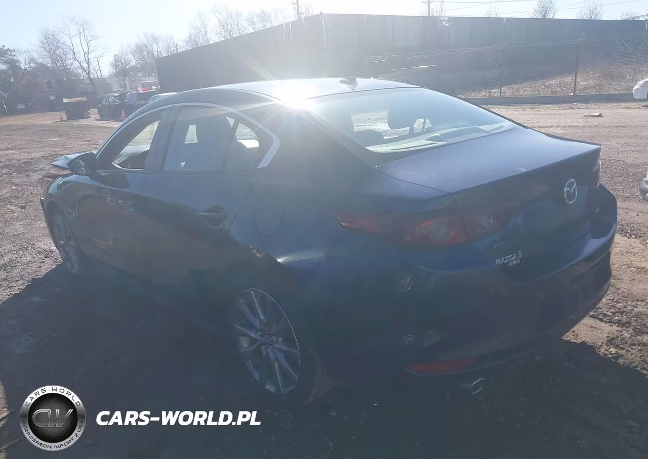 2019 Mazda Mazda3 Preferred Package VIN:JM1BPBDM7K1119867 - 3