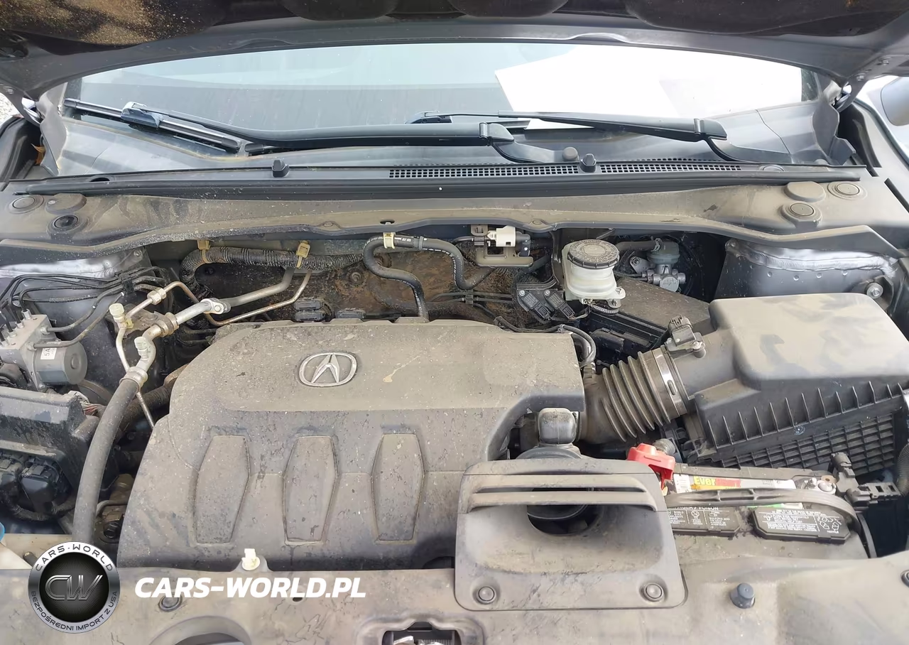 2013 Acura Rdx VIN:5J8TB3H59DL009679 - 10