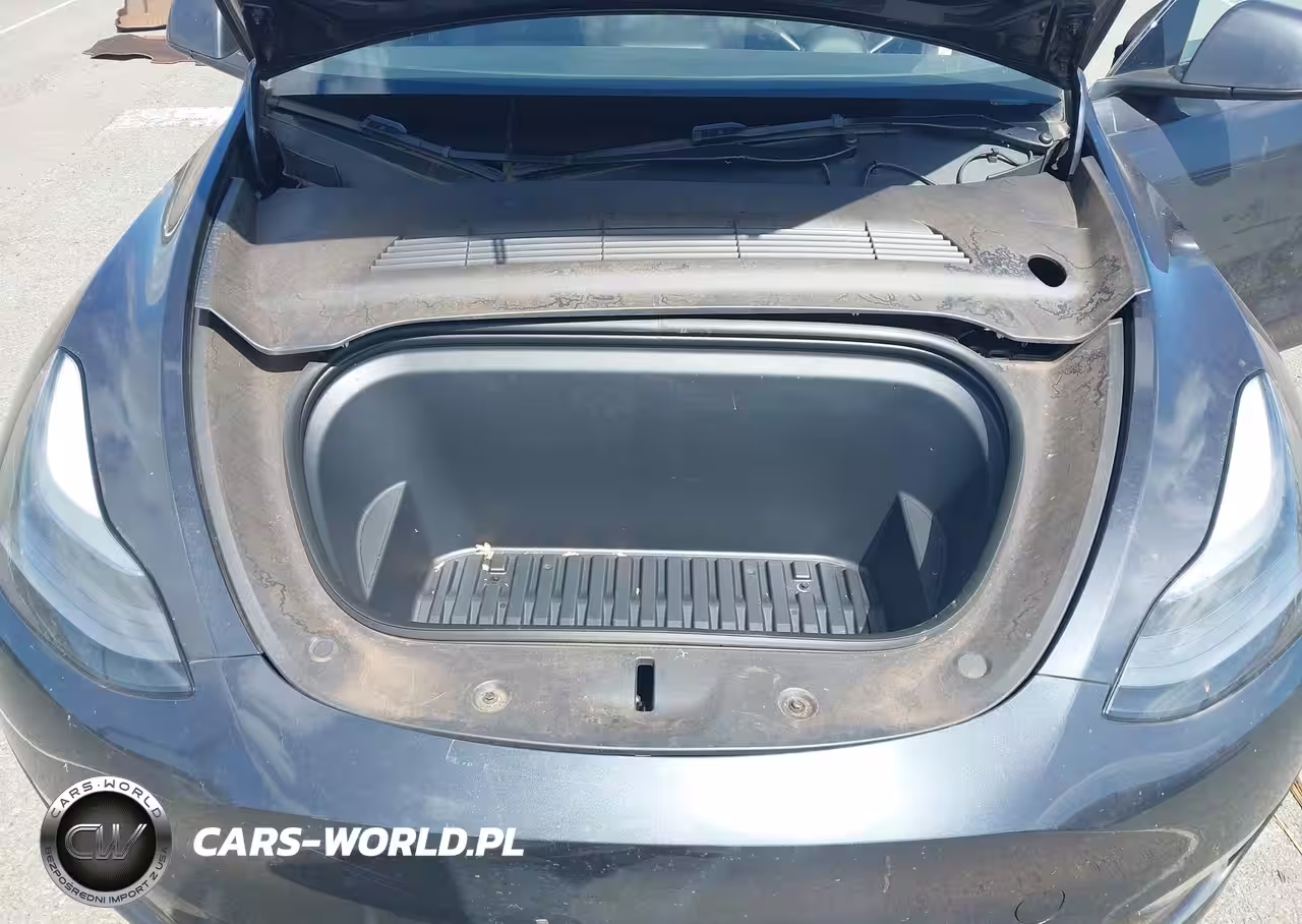 2024 Tesla Model Y Long Range Dual Motor All-Wheel Drive VIN:7SAYGAEE9RF118803 - 10