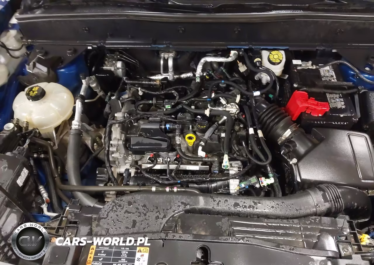 2024 Ford Bronco Sport Big Bend VIN:3FMCR9B62RRE22272 - 10