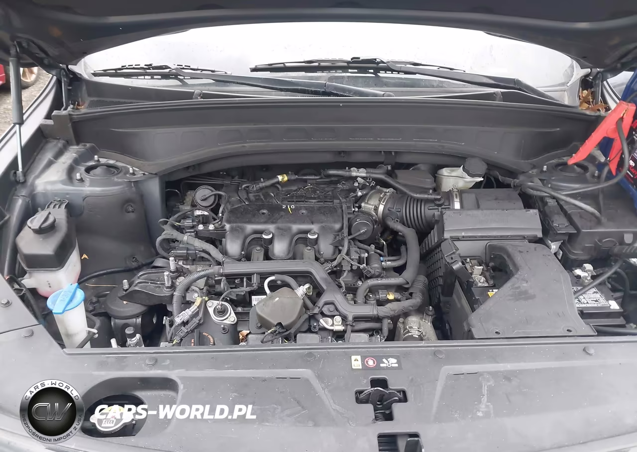 2022 Kia Telluride Ex VIN:5XYP3DHC8NG216983 - 10