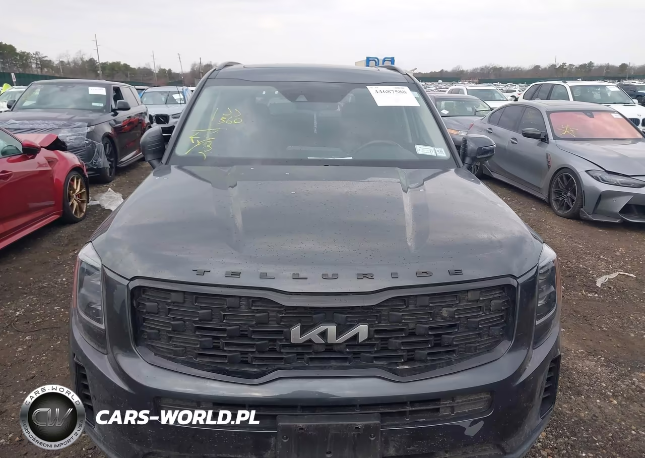 2022 Kia Telluride Ex VIN:5XYP3DHC8NG216983 - 11