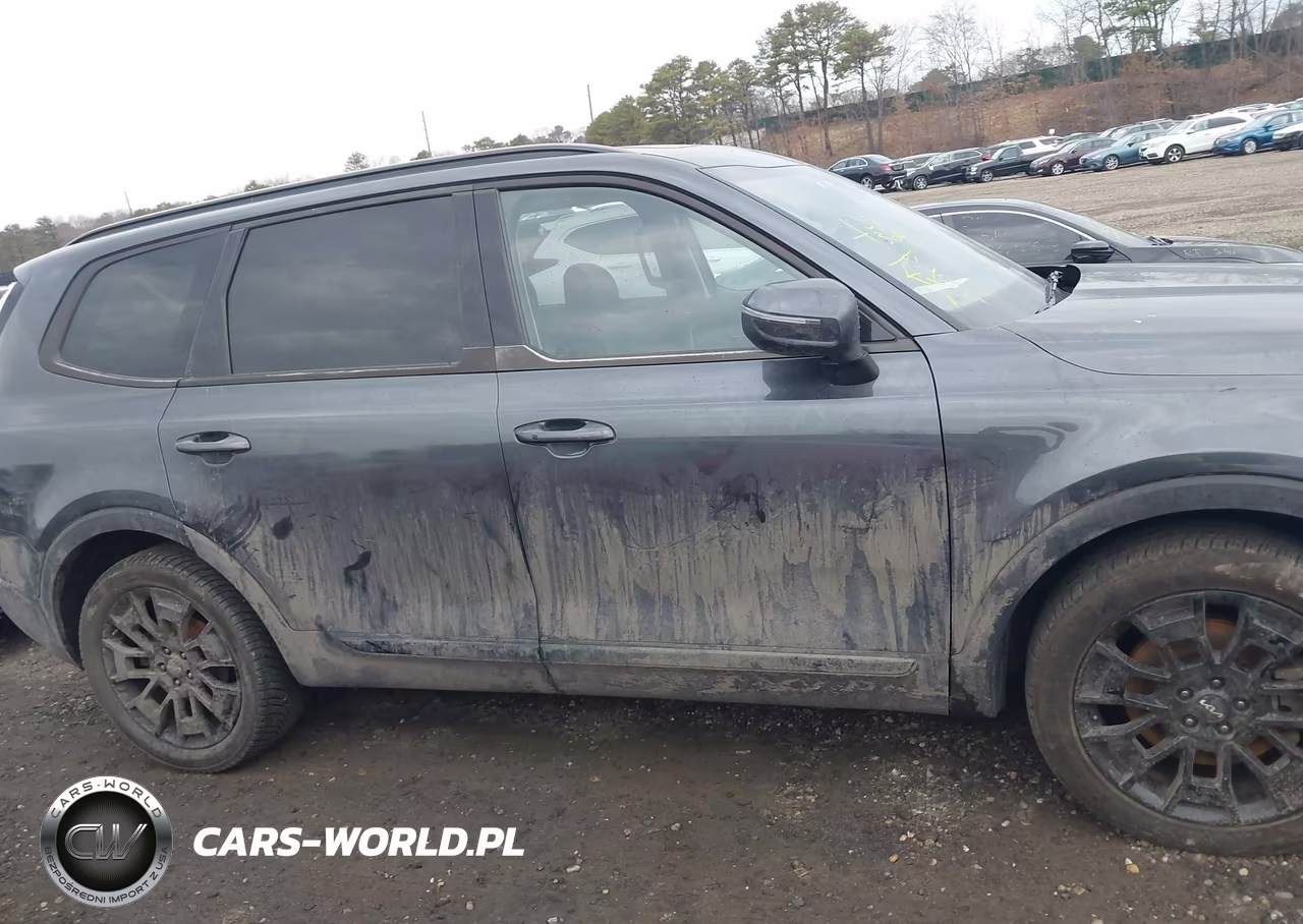 2022 Kia Telluride Ex VIN:5XYP3DHC8NG216983 - 12