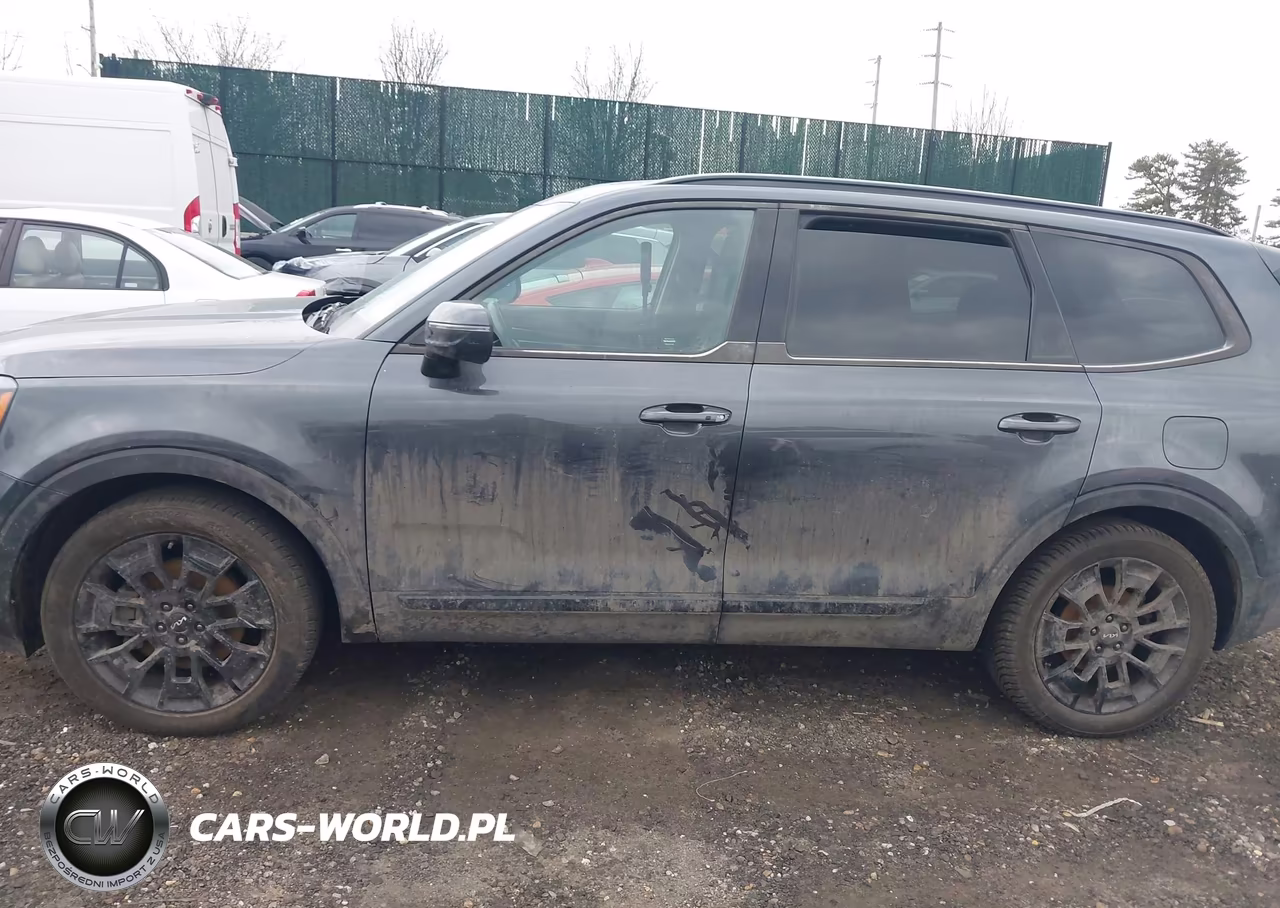 2022 Kia Telluride Ex VIN:5XYP3DHC8NG216983 - 13